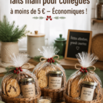 Idées de cadeaux de Noël DIY uniques et abordables pour collègues